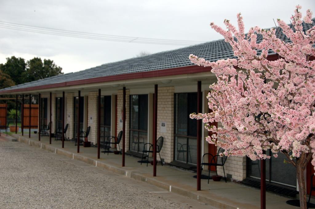 Motel Woongarra Ръдърглен Екстериор снимка